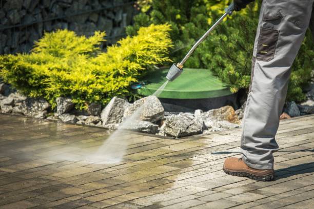 Best Gas Station Cleaning  in Grayvle, IL
